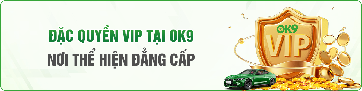 khuyến mãi đặc quyền vip ok9